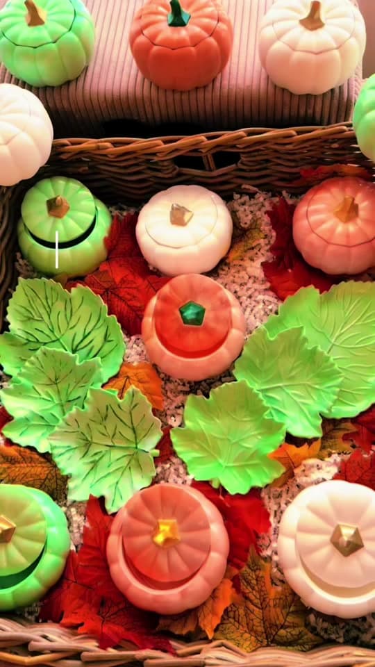 Herfstcreaties van keramisch gips